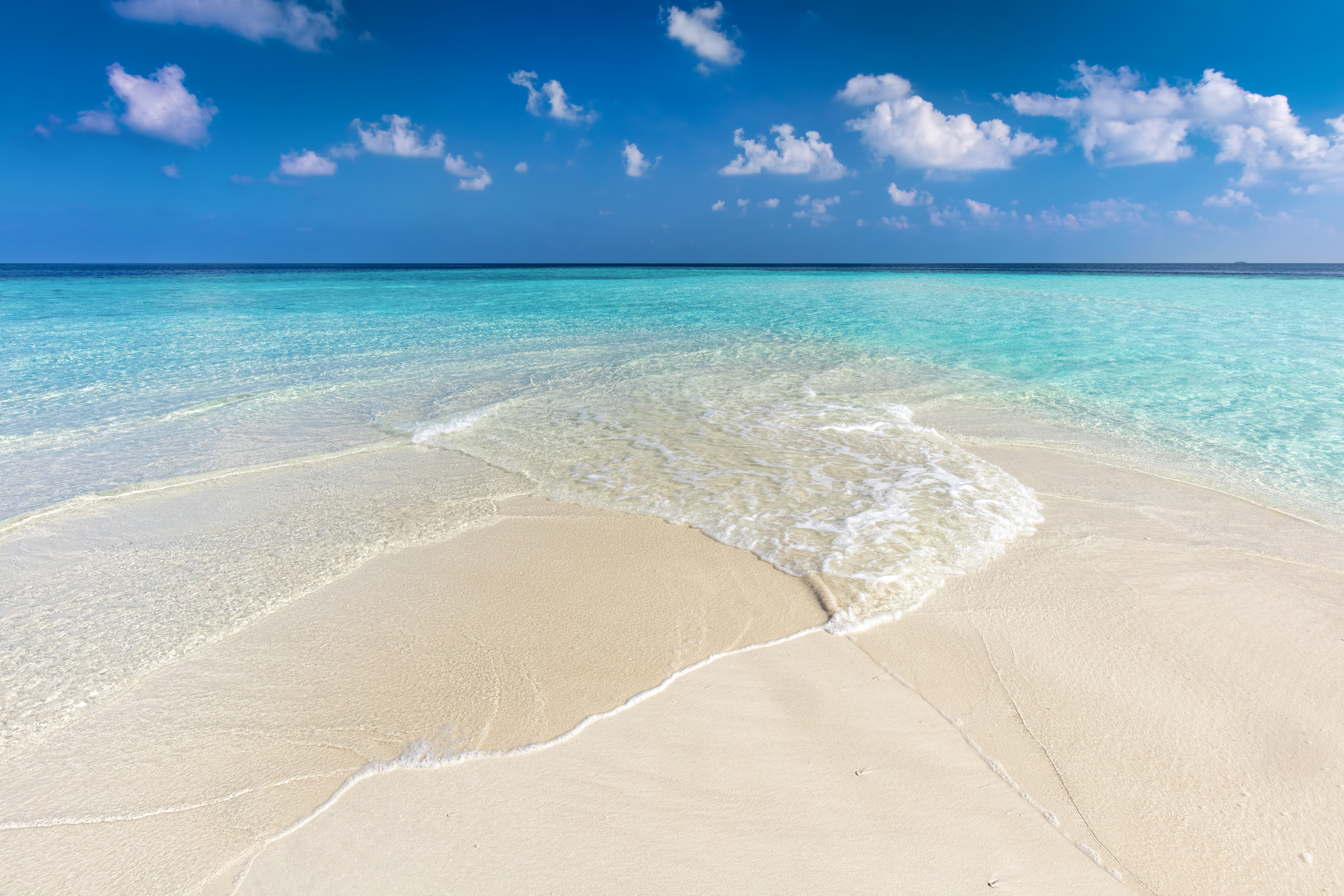 Tropical Beach with White Sand